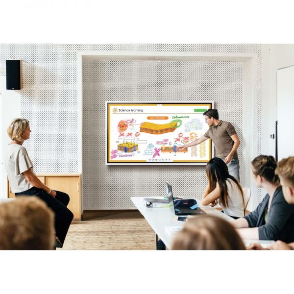 Samsung Flip Pro 65''