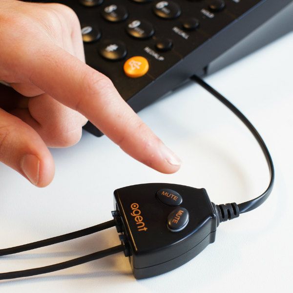 Agent Buddy Training Switch