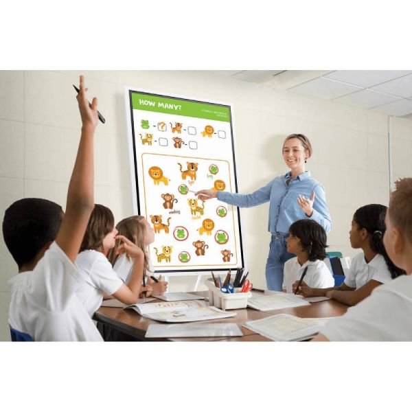 Samsung Flip Pro 55'' + standaard