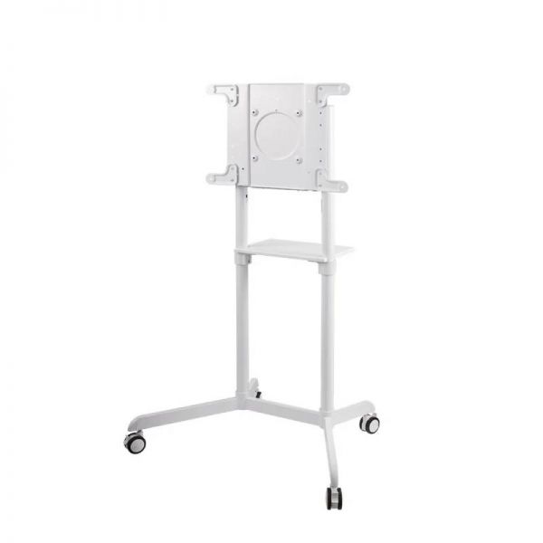 Samsung Flip Pro 65’’ + Neomounts standaard