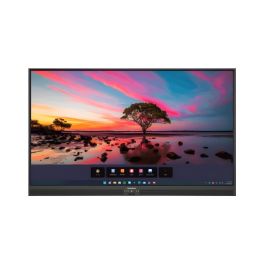 Promethean ActivPanel Premium 10 55''
