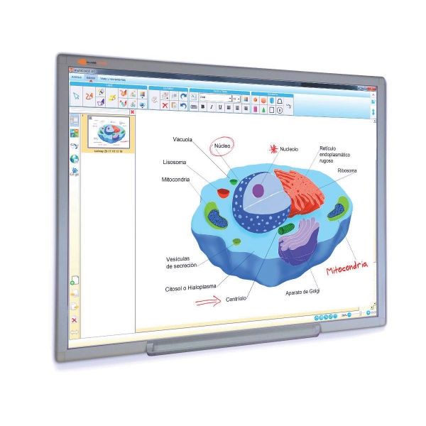 MultiClass 78-inch Interactive Whiteboard 