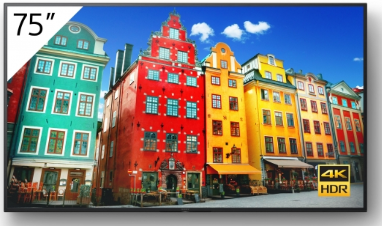 Sony BRAVIA FW-75BZ30J - 75